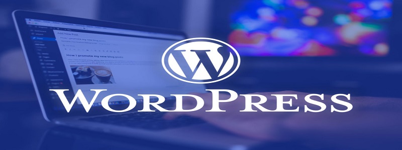 Cách kiếm tiền online bằng WordPress