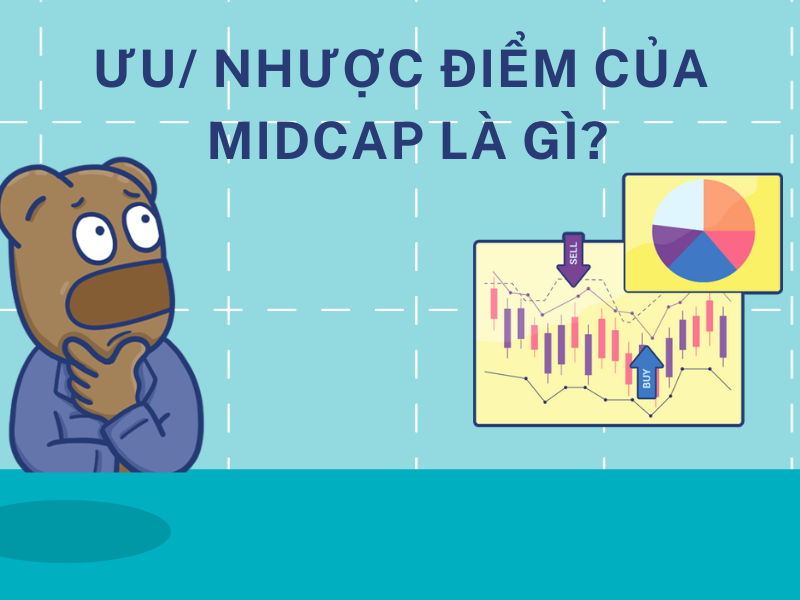 Có nên đầu tư cổ phiếu Midcap không?
