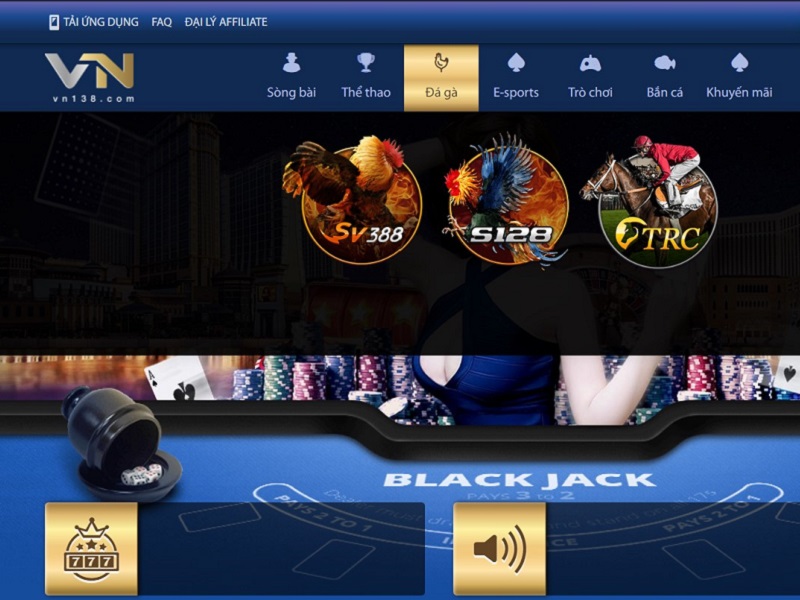 Casino VN138 - Địa chỉ đá gà hàng đầu Châu Á